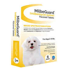 MilbeGuard - Generic to Interceptor 6 pk Small Dogs 2-10 lbs-product-tile