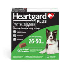 Heartgard Plus Chewables 6pk Green 26-50 lbs-product-tile