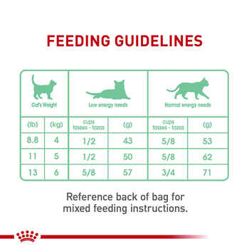 Royal Canin Feline Care Nutrition Digestive Care Adult Dry Cat Food - 6 lb Bag