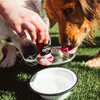 Nulo Hydrate Beef Flavor Water Enhancer for Dogs