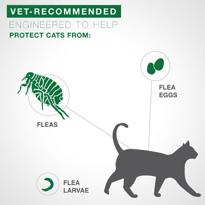 advantage feline flea treatment