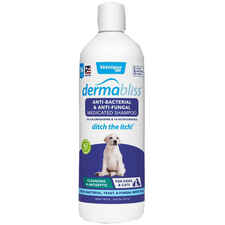 Dermabliss Anti-Bacterial & Anti-Fungal Shampoo-product-tile