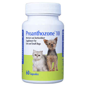 Proanthozone Antioxidant Small Dogs & Cats 10 mg 60 ct product detail number 1.0