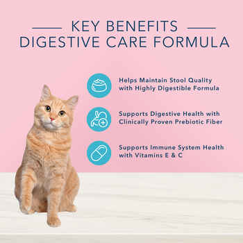 Blue Buffalo True Solutions Blissful Belly Digestive Care Formula Adult Dry Cat Food 11 lb Bag