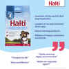 Halti Headcollar No Pull Dog Head Collar - Black - Size 2