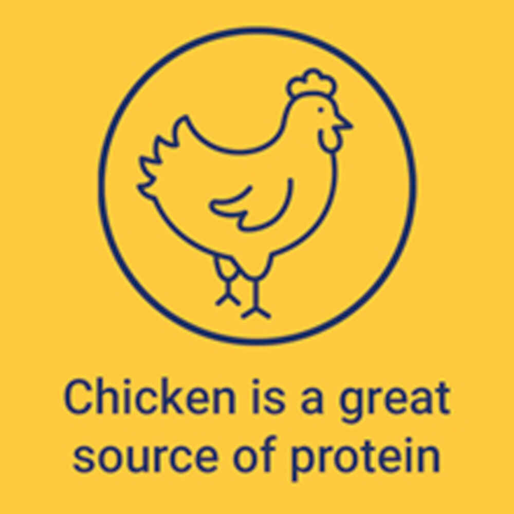 Ernie Els All Natural Freeze-Dried Chicken Dog Treats