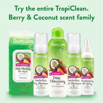Tropiclean Deep Cleaning Deodorizing Pet Wipes