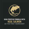 Purina Pro Plan Adult Complete Essentials Salmon & Rice Formula Dry Cat Food
