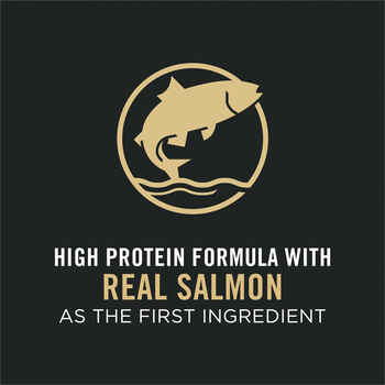 Purina Pro Plan Adult Complete Essentials Salmon & Rice Formula Dry Cat Food 7 lb Bag