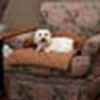 Solvit Sta-Put Bolstered Pet Furniture Protector Medium - Cocoa