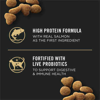 Purina Pro Plan Adult Indoor Hairball Salmon & Rice Formula Dry Cat Food 3.5 lb Bag