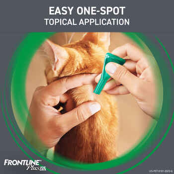 Frontline Plus 6pk Cats Kittens