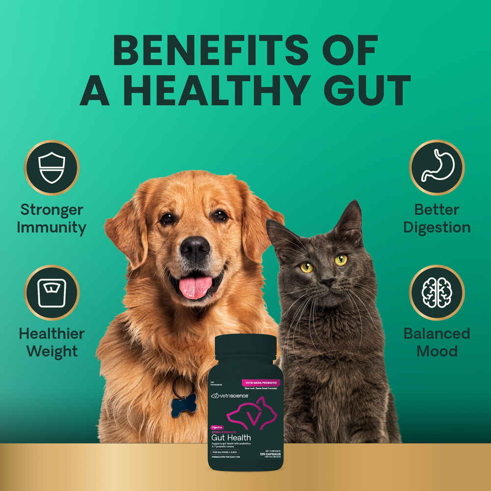 VetriScience Vetri Mega Probiotic