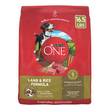 Purina ONE Natural SmartBlend Lamb & Rice Dry Dog Food-product-tile