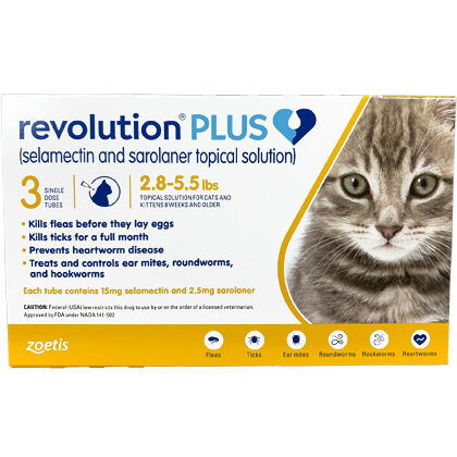 revolution plus flea treatment for cats