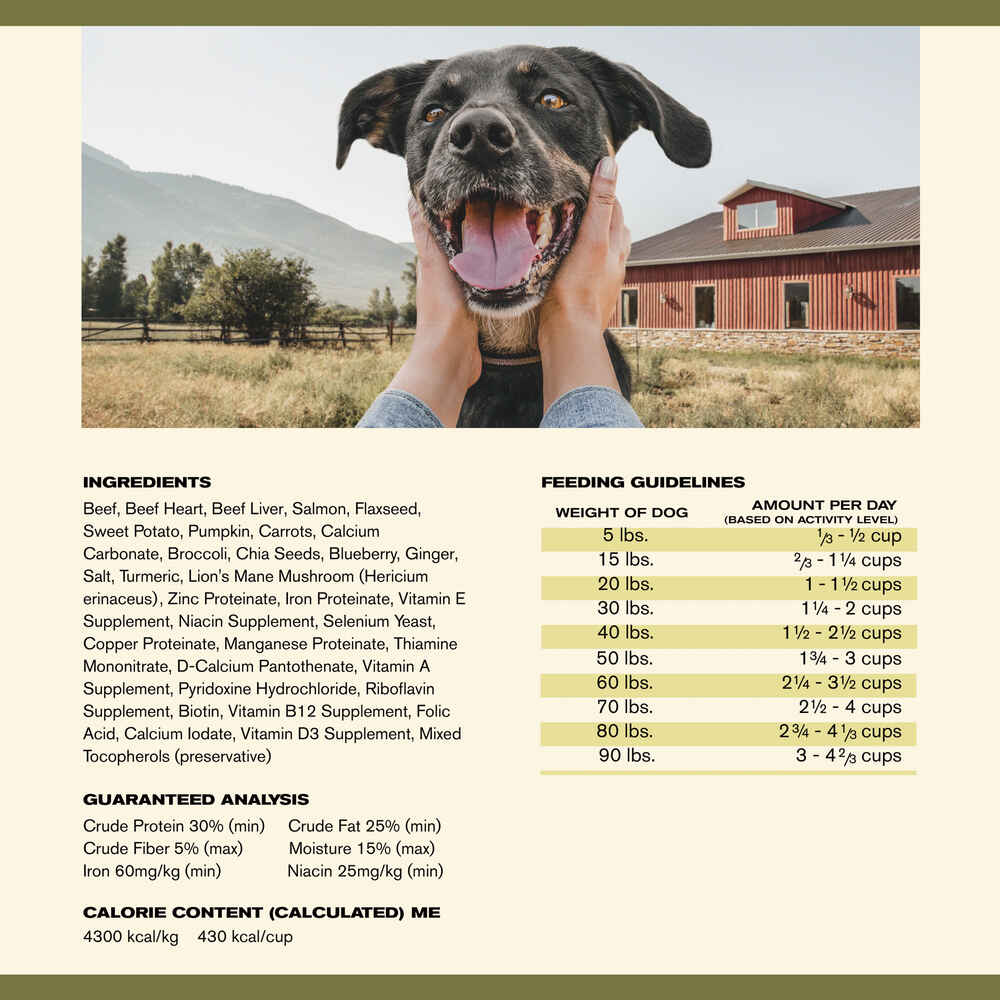 Badlands Ranch Superfood Complete Beef Formula Air Dried Dog Food
