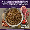 Taste of the Wild Ancient Mountain Lamb Dry Dog Food