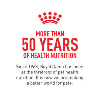 Royal Canin Size Health Nutrition Large Breed Puppy Thin Slices in Gravy Wet Dog Food - 13 oz Cans - Case of 12