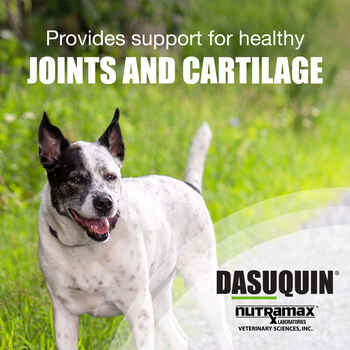 Nutramax Dasuquin Joint Health Supplement - With Glucosamine, Chondroitin, ASU, Boswellia Serrata Extract, Green Tea Extract Cats,  84 Capsules