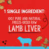Stella & Chewy's Lamb Liver Freeze-Dried Raw Dog Treats 3 oz