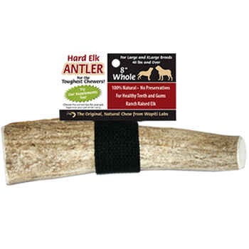 Elk Antlers for Dogs Large 8" Whole Chew product detail number 1.0