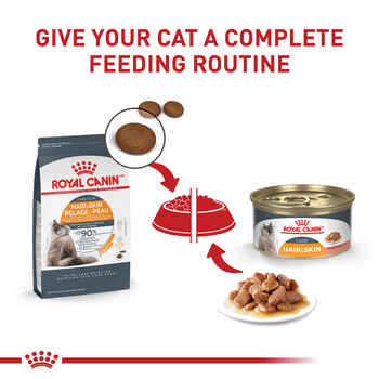 Royal Canin Feline Care Nutrition Hair & Skin Care Thin Slices In Gravy Adult Wet Cat Food - 3 oz Cans - Case of 24