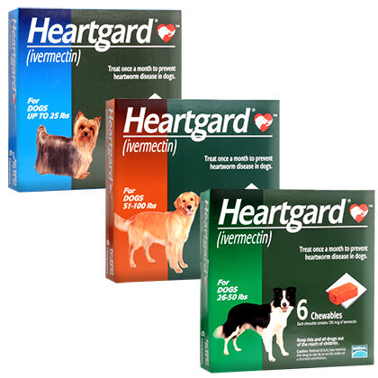 Dog Heartgard Chewables: Heartworm Pet 