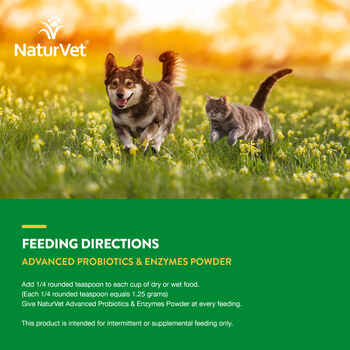 NaturVet Advanced Probiotics & Enzymes Plus Vet Strength PB6 Probiotic Supplement for Dogs and Cats Powder 8 oz
