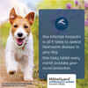 MilbeGuard - Generic to Interceptor 6 pk Small Dogs 2-10 lbs