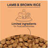 Canidae PURE With Wholesome Grains Dry Dog Food with Lamb & Brown Rice