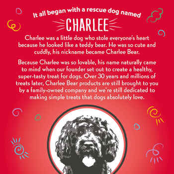 Charlee Bear Bearnola Bites Pumpkin Spice Flavor Dog Treats