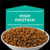Purina Pro Plan Veterinary Diets EN Gastroenteric Feline Formula Dry Cat Food - 6 lb. Bag