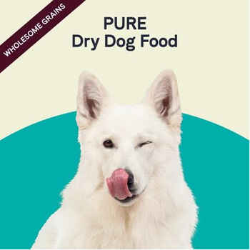 Canidae PURE With Wholesome Grains Dry Dog Food with Beef & Barley