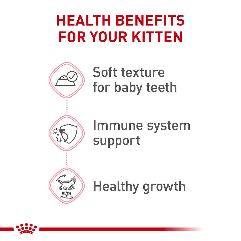 Royal Canin Feline Health Nutrition Kitten Thin Slices In Gravy Wet Cat Food