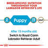 Royal Canin Breed Health Nutrition Labrador Retriever Puppy Dry Dog Food - 30 lb Bag