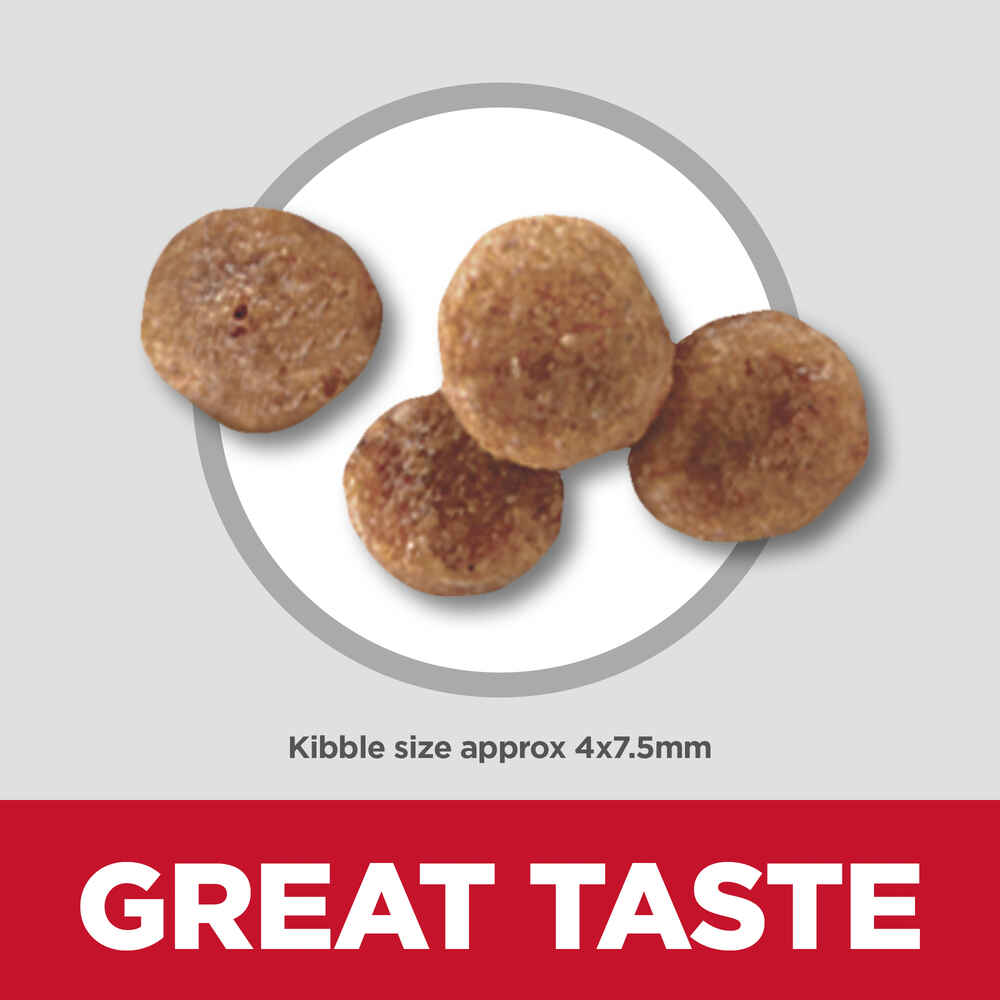 Hill's Science Diet Adult 11+ Senior Small & Mini Chicken Meal Brown Rice & Barley Dry Dog Food