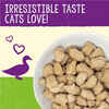 Stella & Chewy's Duck Duck Goose Dinner Morsels Freeze-Dried Raw Cat Food