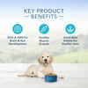 Blue Buffalo Life Protection Formula Puppy Chicken & Brown Rice Recipe Dry Dog Food 5 lb Bag