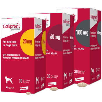 Galliprant 20 mg Tab 30 ct