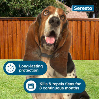 Seresto 2pk Bundle for Small Dogs and Large Dogs