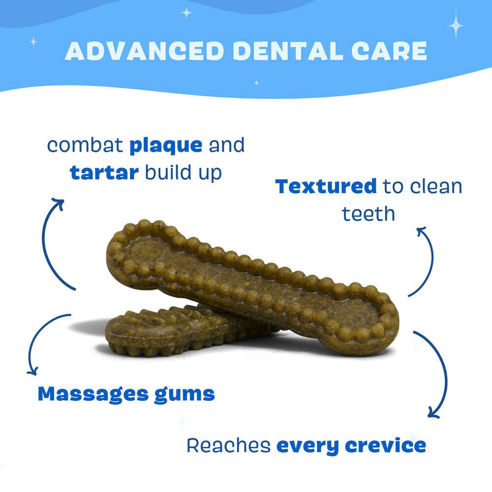 BARK Bright Durable Dental Chew Sticks for Dogs