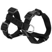 Adjustable Dog Harness for Small Breeds - 14"-20"  (Assorted Colors)