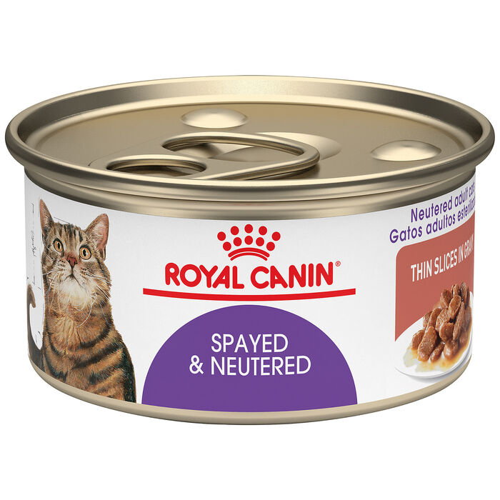 Royal Canin Feline Health Nutrition Spayed / Neutered Thin Slices in Gravy Adult Wet Cat Food
