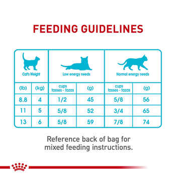 Royal Canin Feline Care Nutrition Urinary Care Adult Dry Cat Food - 3 lb Bag 
