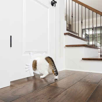 PetSafe Cat Corridor Interior Pet Door