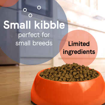 Canidae PURE Petite Small Breed Puppy Grain Free Salmon Recipe Dry Dog Food 4 lb Bag