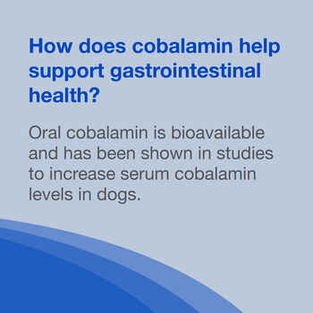 Nutramax Cobalequin B12 Supplement Medium to Large Dogs, 45 Chewable Tablets