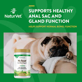 NaturVet No Scoot Plus Pumpkin Supplement for Dogs Powder 5.4 oz