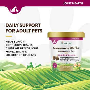 NaturVet Glucosamine DS Plus Level 2 Moderate Joint Care Supplement for Dogs and Cats Soft Chews 70 ct