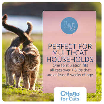 Catego for Cats Over 1.5 lbs 3 Pack
